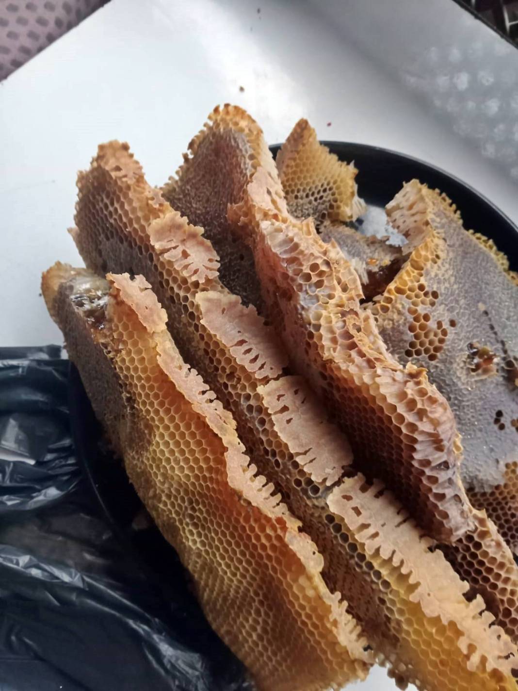 Seyahat için evdeki valizini açan adam hayatının şokunu yaşadı! Eliyle zor kaldırdı, kilolarca ağırlıkta 3